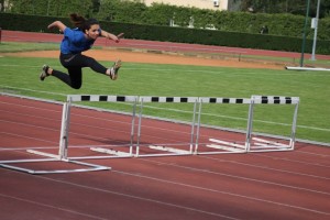 Bruna u preletu preko prijepone