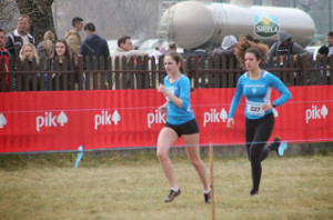 hana, dorotea